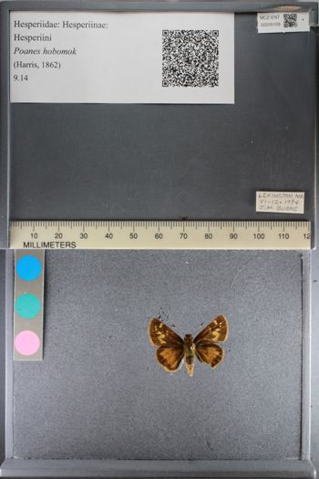 Media type: image;   Entomology 205109